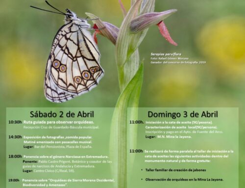 VIII Jornadas  Orquilarqueñas