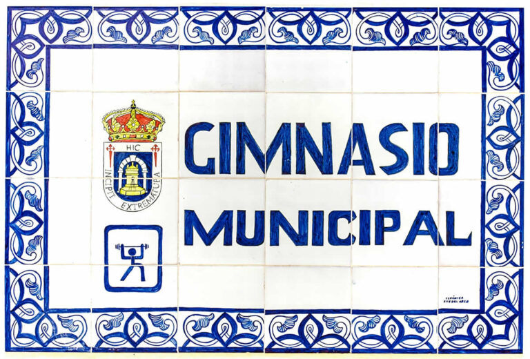 Gimnasio Municipal 768x520