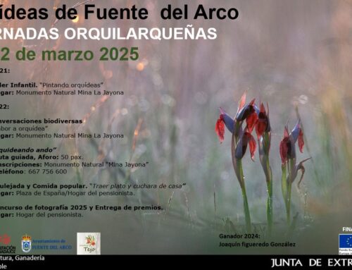 XI JORNADAS ORQUILARQUEÑAS – ORQUIDEAS EN FUENTE DEL ARCO